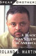 Speak, Brother! : a Black man's view of America /