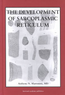 The development of sarcoplasmic reticulum /