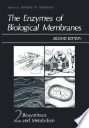 The Enzymes of Biological Membranes : Volume 2 Biosynthesis and Metabolism /