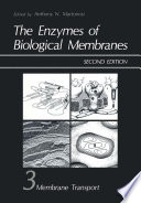 The Enzymes of Biological Membranes : Volume 3: Membrane Transport /