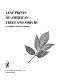 Leaf prints of American trees and shrubs : (A modern American herbal) /