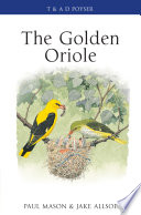 The golden oriole /