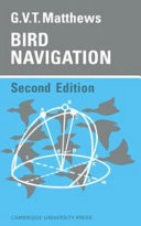 Bird navigation /