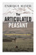 The articulated peasant : household economies in the Andes /