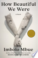 How beautiful we were : a novel /