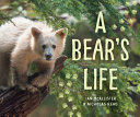 A bear's life /