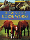 How your horse works /