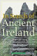 In search of ancient Ireland : the origins of the Irish, from neolithic times to the coming of the English /