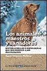 Los animales, maestros y sanadores : historias reales y reflexiones /