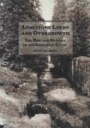 Limestone locks and overgrowth : the rise and descent of the Chenango Canal /