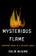 The mysterious flame : conscious minds in a material world /