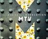 MTV : the making of a revolution /