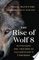 The rise of wolf 8 : witnessing the triumph of Yellowstone's underdog /