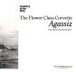 The flower class corvette, Agassiz /