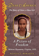 A picture of freedom : the diary of Clotee, a slave girl /