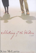 Meeting of the waters : a novel /