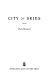 City of skies : a novel /