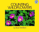 Counting wildflowers /