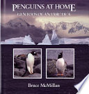 Penguins at home : gentoos of Antarctica /