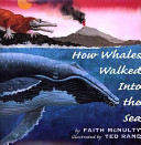 How whales walked into the sea /