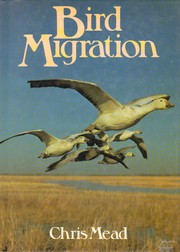 Bird migration /