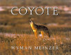 Coyote /