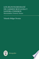 Los Bildungsromane femeninos de Carmen Boullosa y Sandra Cisneros : Mexicanidades, fronteras, puentes /