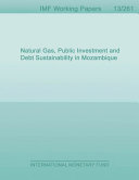 Natural gas, public investment and debt sustainability in Mozambique /