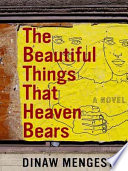 The beautiful things that heaven bears /