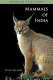 Mammals of India /