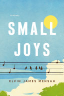 Small joys : a novel /