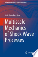 Multiscale Mechanics of Shock Wave Processes /