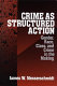 Crime as structured action : gender, race, class, and crime in the making /