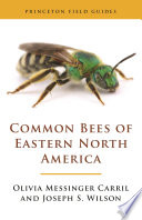 Common bees of eastern North America /