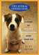 The animal connection : a guide to intuitive communication with your pet /