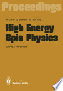 High Energy Spin Physics : Volume 2: Workshops /