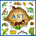 The life and times of the ant /