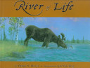 River of life /