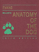 Miller's Anatomy of the dog.