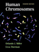 Human chromosomes /