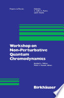 Workshop on Non-Perturbative Quantum Chromodynamics /