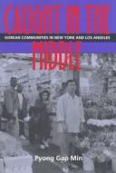 Caught in the middle : Korean merchants in America's multiethnic cities /