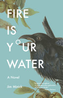 Fire is your water : a novel /