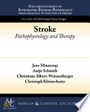 Stroke : pathophysiology and therapy /