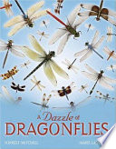 A dazzle of dragonflies /