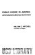 Public choice in America : an introduction to American government /