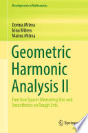 Geometric Harmonic Analysis II : Function Spaces Measuring Size and Smoothness on Rough Sets /