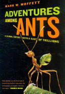Adventures among ants : a global safari with a cast of trillions /