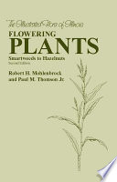 Flowering plants : smartweeds to hazelnuts /