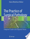 The practice of surgical pathology : a beginner's guide to the diagnostic process /